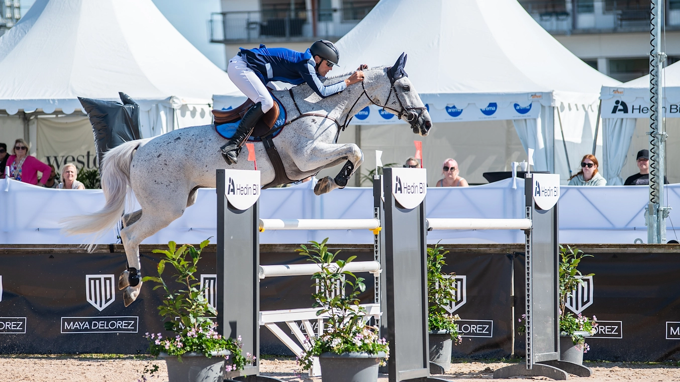 Horse jumping