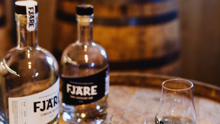 Ginprovning Fjäre Gin