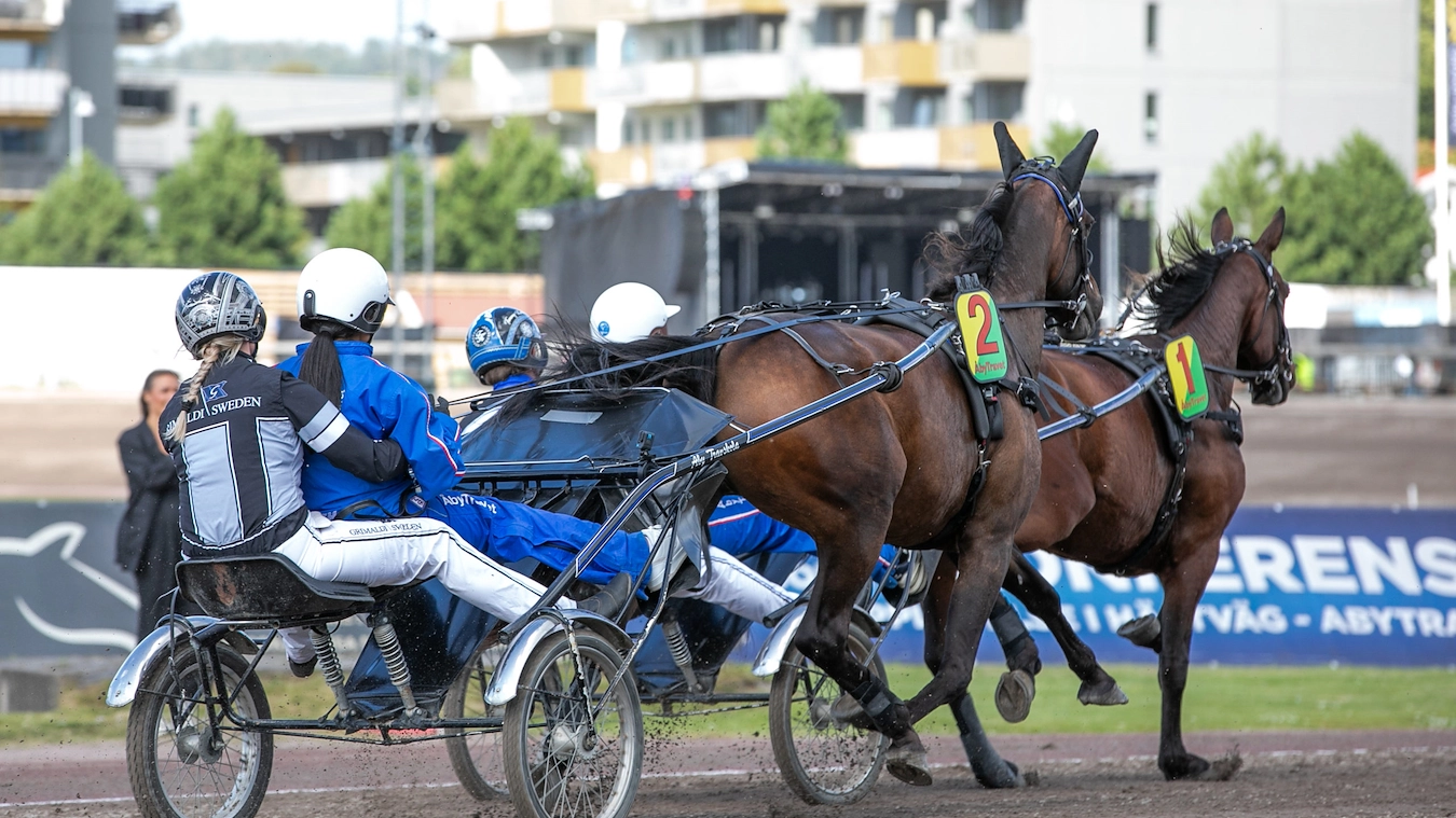Tandemkörning ÅbyTravet
